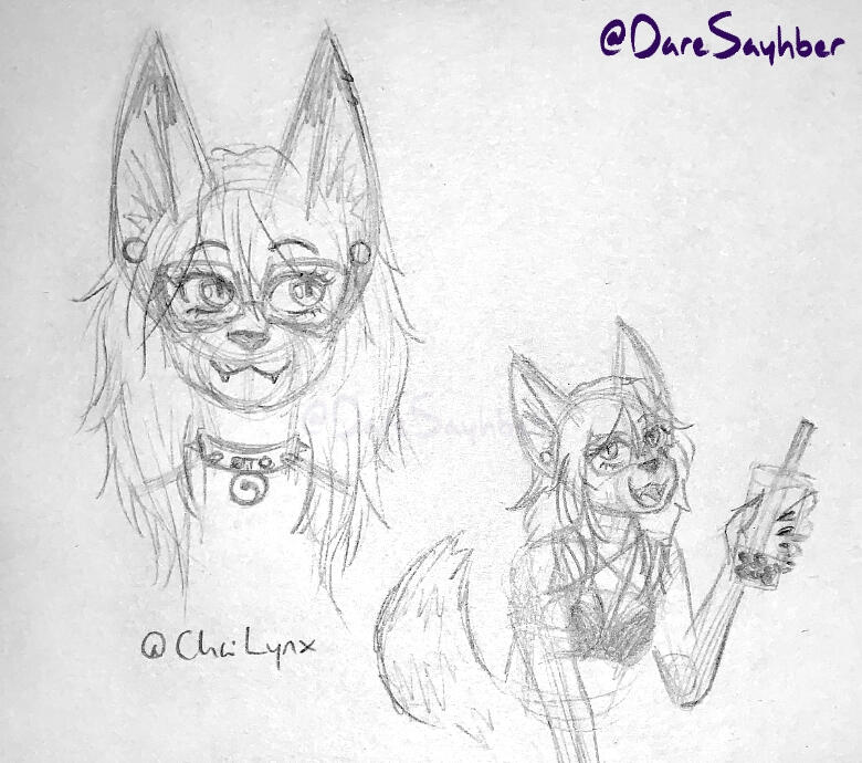VR ChaiLynx